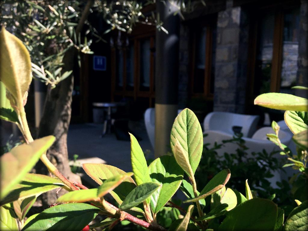Abadia Del Pirineo Hotell Tramacastilla de Tena Eksteriør bilde